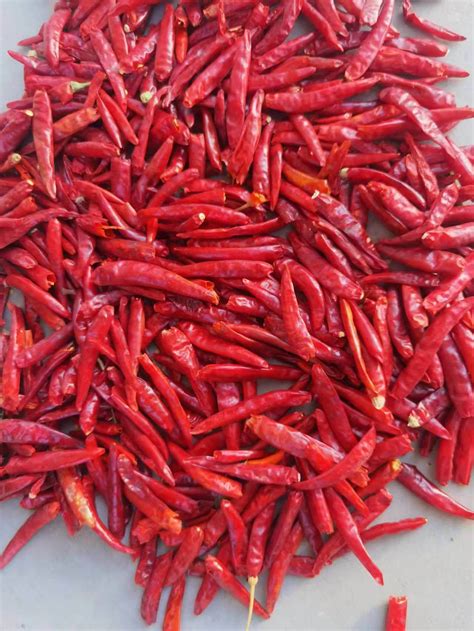 Spice Up Your Dishes With Red Chili Pepper Powder Spicy Red Chili