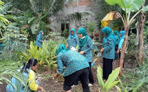 Gotong Royong Buat Taman Toga PKK Desa Batu Menyan Patut Di Apresiasi