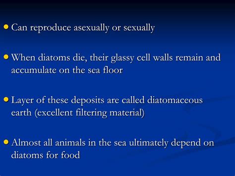 PPT - Ocean Microorganisms: Diversity and Impacts PowerPoint