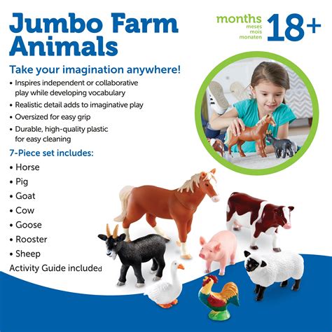 Domestic Animals Images For Kids