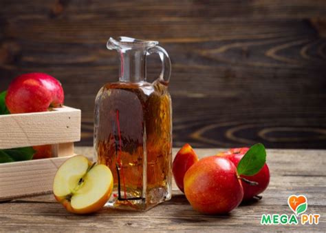 Яблочный Уксус Купить КАЗАХСТАН ᐈ Алматы | Астана | Караганда | Megapit.kz