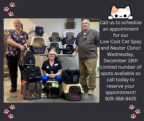 White Mountain Animal Hospital Whitemountainanimalhospital