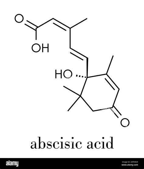 Abscisic Acid Plant Stress Molecule Skeletal Formula Stock Vector