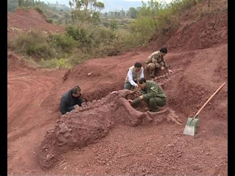 Rare Jurassic Dinosaur Fossils Discovered in Yunnan Province, China