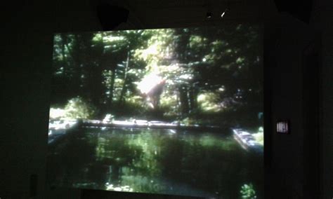 Bill Viola The Reflecting Pool