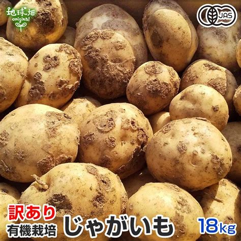 訳あり じゃがいも 18kg 有機栽培 鹿児島県産 宮崎県産 B品 化学肥料・農薬不使用 馬鈴薯 国産 自宅用 大きさおまかせ 春じゃがいも