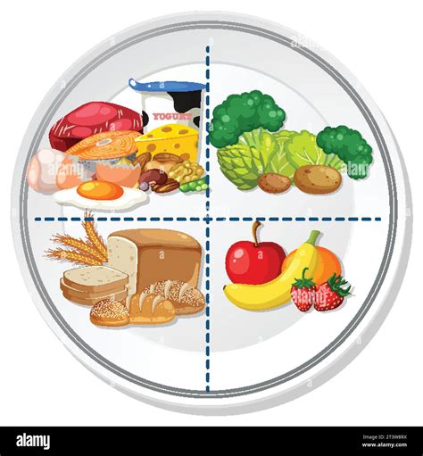 Healthy Eating Plate With Balanced Portions Illustration Stock Vector