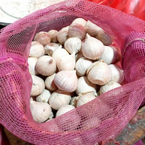 Jual Bawang Putih Tunggal Bawang Lanang 50 Gram Shopee Indonesia