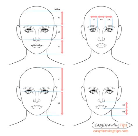 Face proportions, Face drawing, Drawing proportions