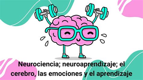 Octava Clase Neurociencia Neuroaprendizaje El Cerebro Las Emociones