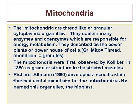 Ultrastructure Of Mitochondria Dr Rathod L R Assistance