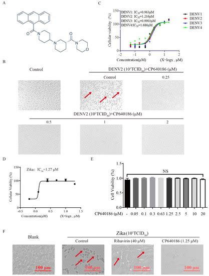 Molecules Free Full Text Acetyl Coa Carboxylase Acc Inhibitor Cp640186 Effectively