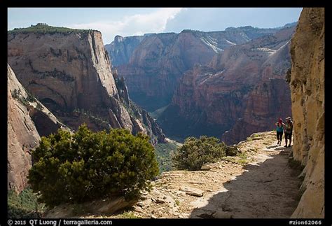 Picturephoto Hikers On East Rim Trail Zion National Park