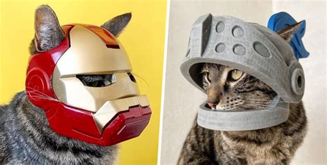 This Cat Lover Uses 3d Printing To Make Adorable Cat Helmets