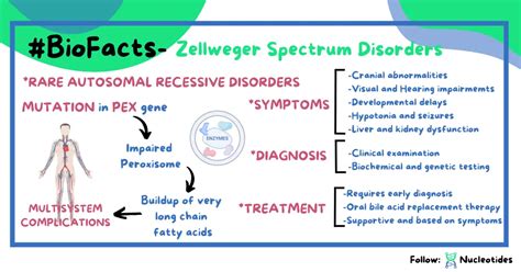 Zellweger Spectrum Disorders Cause Symptoms Diagnosis And Treatment