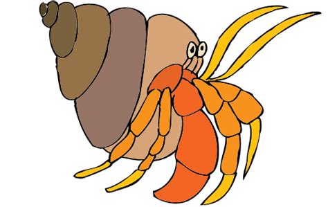 Hermit Crab Clipart & Look At Clip Art Images - ClipartLook