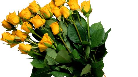 1920x1080 Bouquet Flower Yellow Yellow Roses Flowers