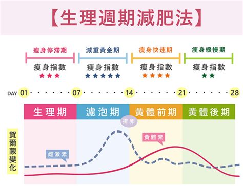 月經來該怎麼減重？想要擊退便秘消水腫，就看蔡承玲中醫師的經期減重法！