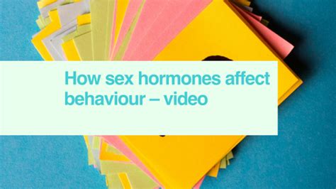 Sex Hormones And Behaviour Video