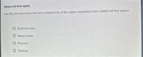 Solved Select All That Apply Identify The Structures That