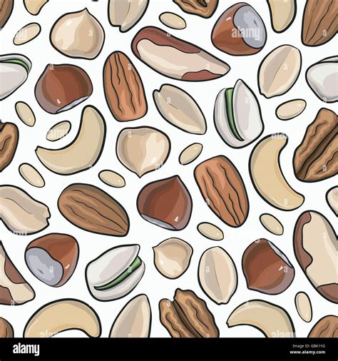 Vector Seamless Pattern Nuts Hazelnut Almonds Peanuts Walnut