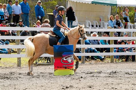 Scottsdale Rodeo 2020