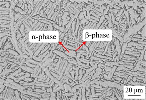 Ti 6al 4v Alloy Microstructure Download Scientific Diagram