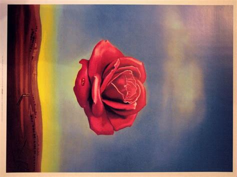 Salvador Dali Meditative Rose Salvador Dali Art Original