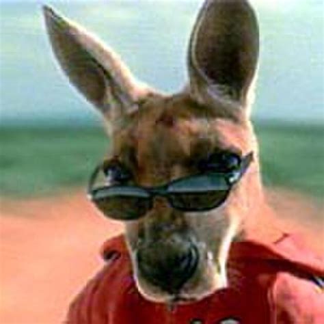 Kangaroo Jack (2003) Movie Photos and Stills - Fandango