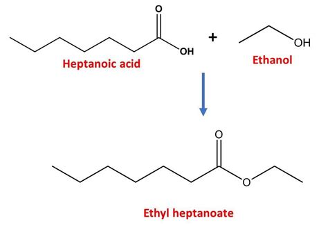 Draw The Ester Formed By The Reaction Of Heptanoic Acid And Ethanol