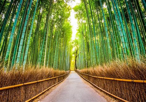 Shikoku Pilgrimage Trail Walking Holiday Macs Adventure