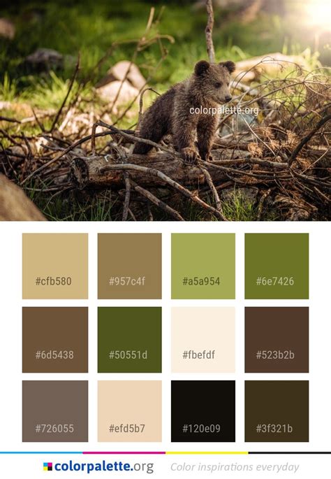 Fauna Mammal Wildlife Color Palette Colors Inspiration Graphics