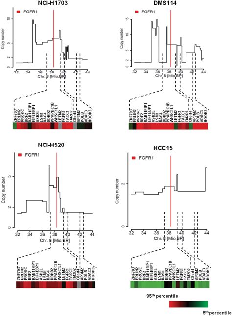 In Depth High Resolution Array Cgh Of Cell Lines Identifies A Broad