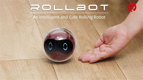 Rollbot An Intelligent Rolling Robot Youtube