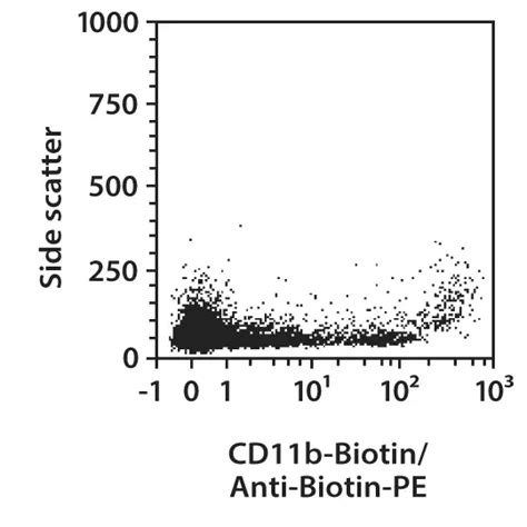 Cd B Antibody Anti Human Mouse Miltenyi Biotec Usa