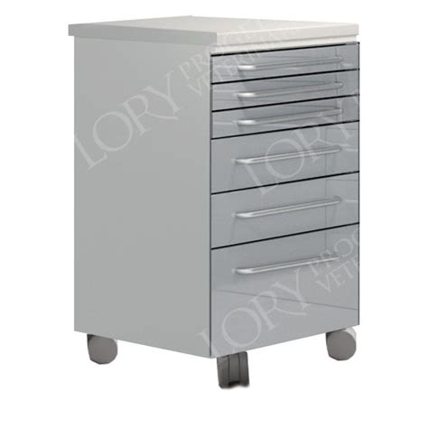 Veterinary Clinic Cabinet MO009 Lory Progetti Veterinari Srl On