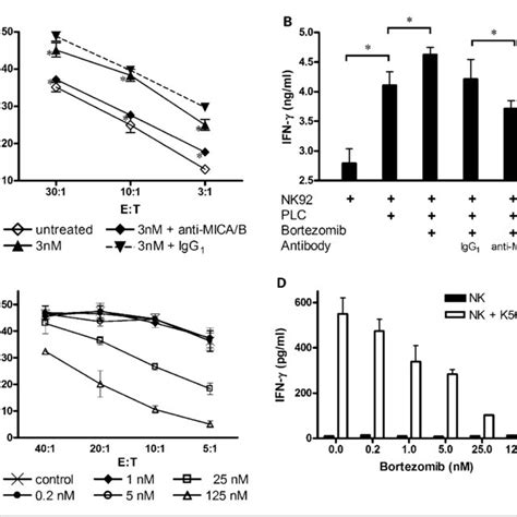 Increase Of Micab Protein In Hepatoma Cells After Bortezomib