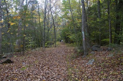 Sunrise Mountain In The Fall