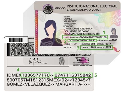 Conoce Cuáles Son Los Datos Más Importantes De Tu Credencial De Elector