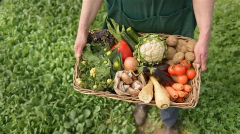 Pros And Cons Of Organic Food All Facts To Know Entirely Health