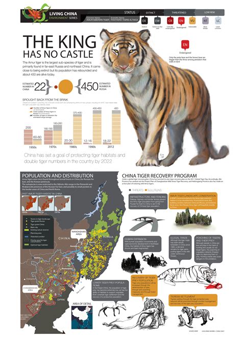 Infographic Endangered Species