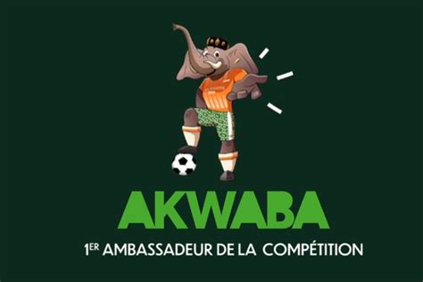 CAN 2024 l éléphant Akwaba mascotte de la compétition en Côte d