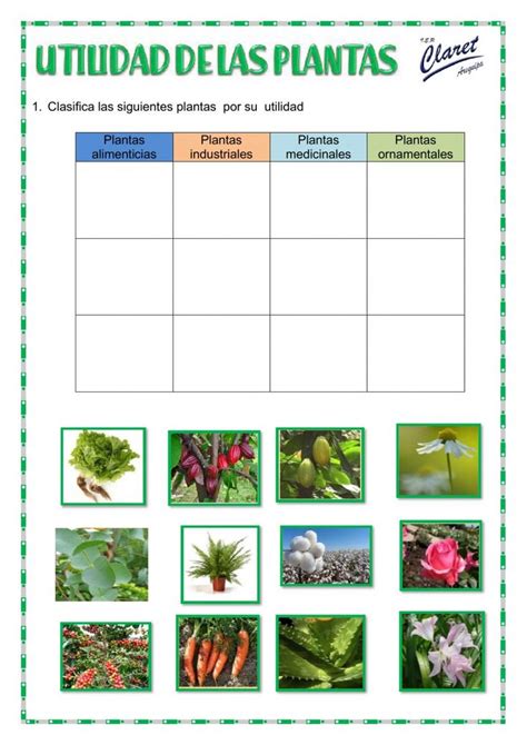 Utilidad De Las Plantas Exercise Education Worksheets Language