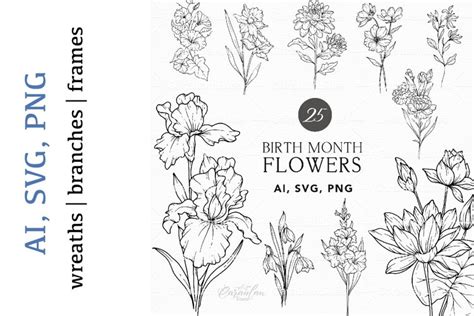 Birth Flowers Line Drawing Birth Month Flowers Svg Clipart