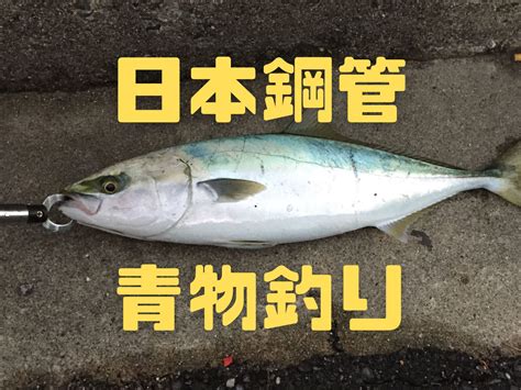 【2020年11月】三重県の日本鋼管にブリ釣りに行ってきました