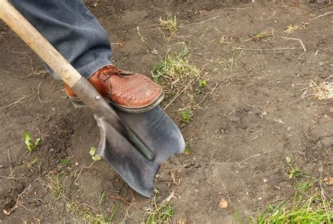 Plumber Man Digging Out Clogged Sewer Line Closeup Stock Photo