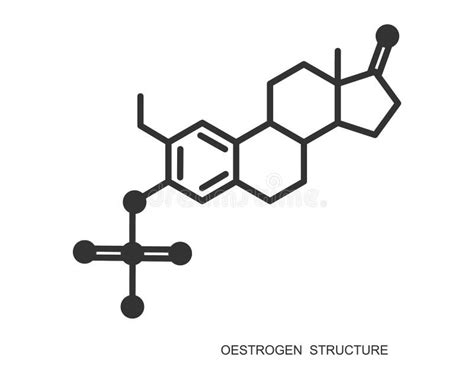 Structure Moléculaire Des Oestrogènes Formule Chimique Squelettique