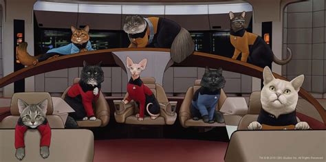 star trek cats calendar 2022 - Cathey Goad