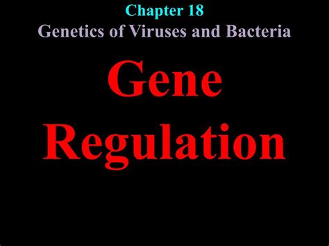 Ppt Chapter 18 Genetics Of Viruses And Bacteria Powerpoint Presentation Id3903165