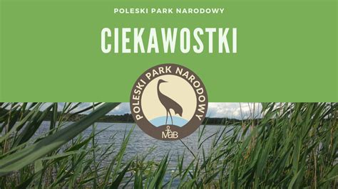 Poleski Park Narodowy Poleski Park Narodowy Ciekawostki